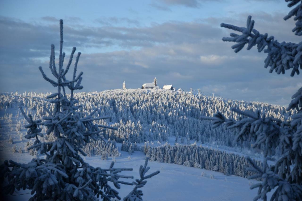 Medvědí boudy Vila Loučná pod Klínovcem Exterior foto