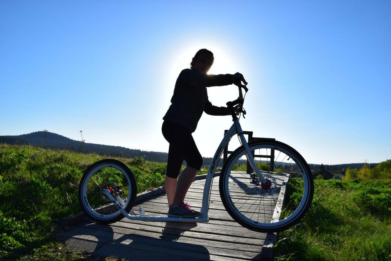 Medvědí boudy Vila Loučná pod Klínovcem Exterior foto